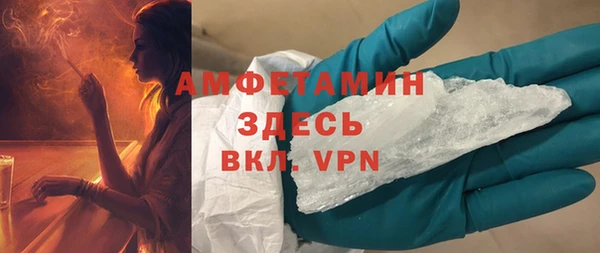 твердый Бородино