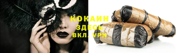 индика Володарск