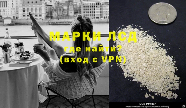 дживик Верхний Тагил