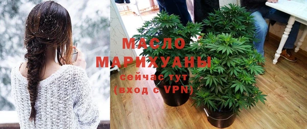 дживик Верхний Тагил