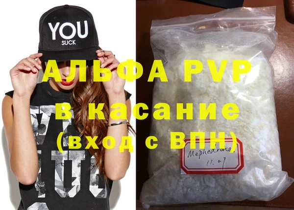 СК Верея