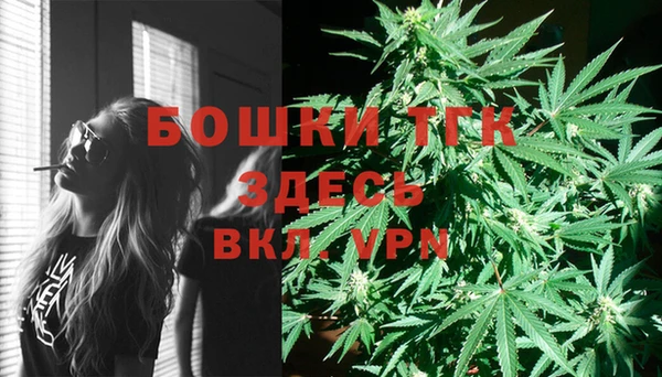 дживик Верхний Тагил