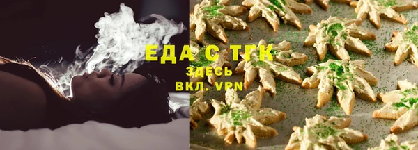 дживик Верхний Тагил