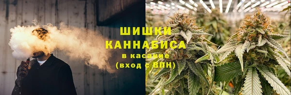 СК Верея