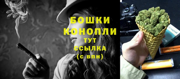 дживик Верхний Тагил